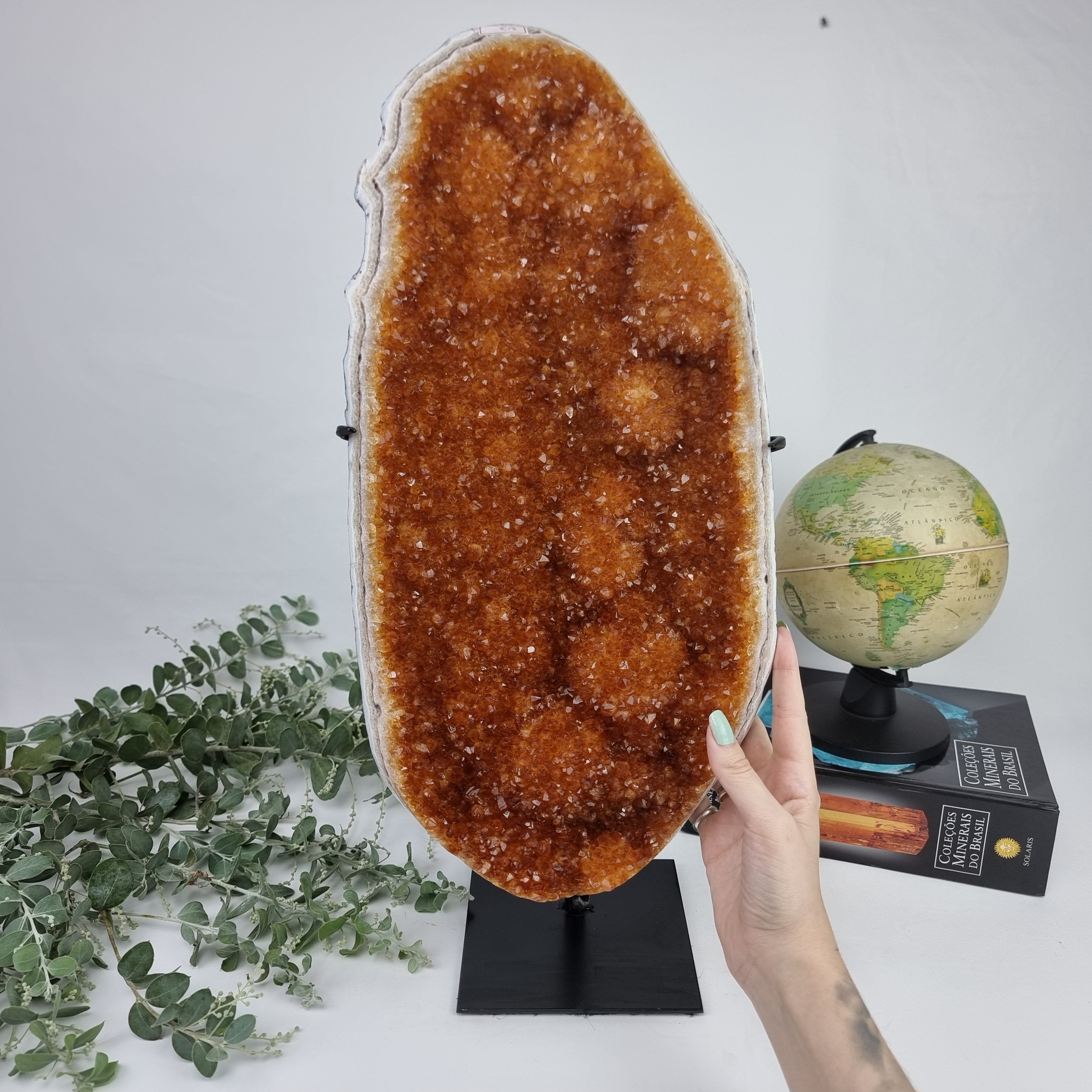 CITRINO Drusa Super Especial | Base de Ferro Preta | Peso 6,90 Kgs, Altura de 51 cm | Peça Artesanal BR Crystals