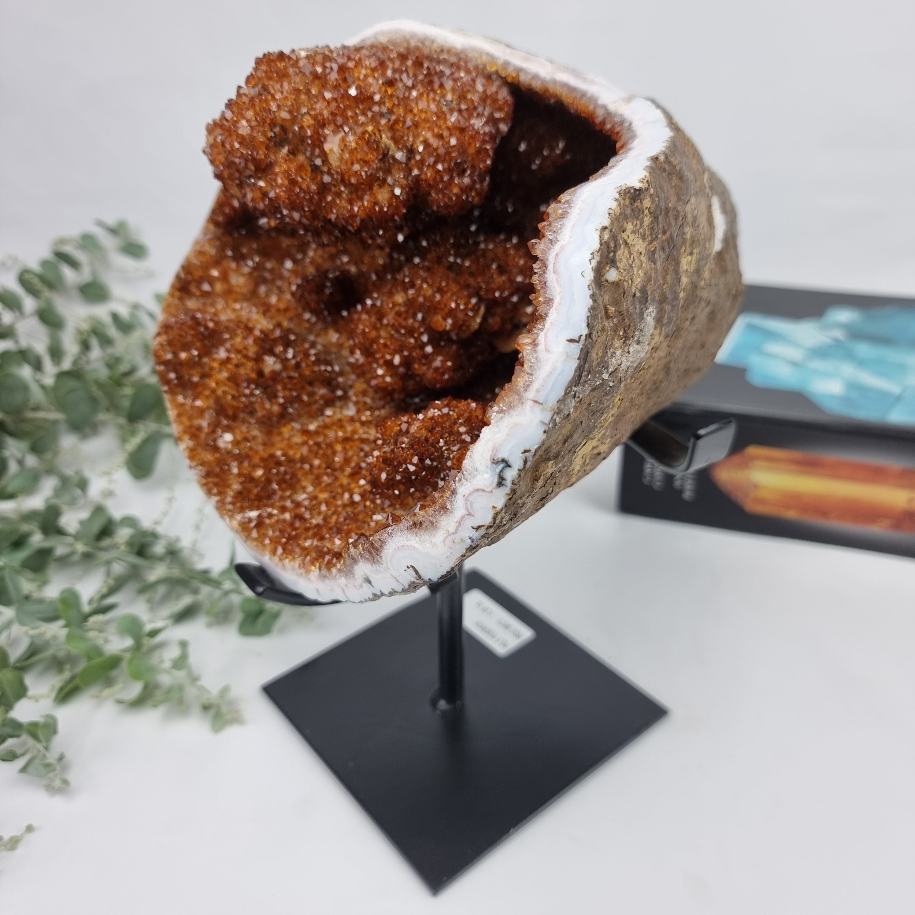 CITRINO Exótico Super Especial | Base de Ferro Preta | Peso 4,06 Kgs, Altura de 25 cm | Peça Artesanal BR Crystals