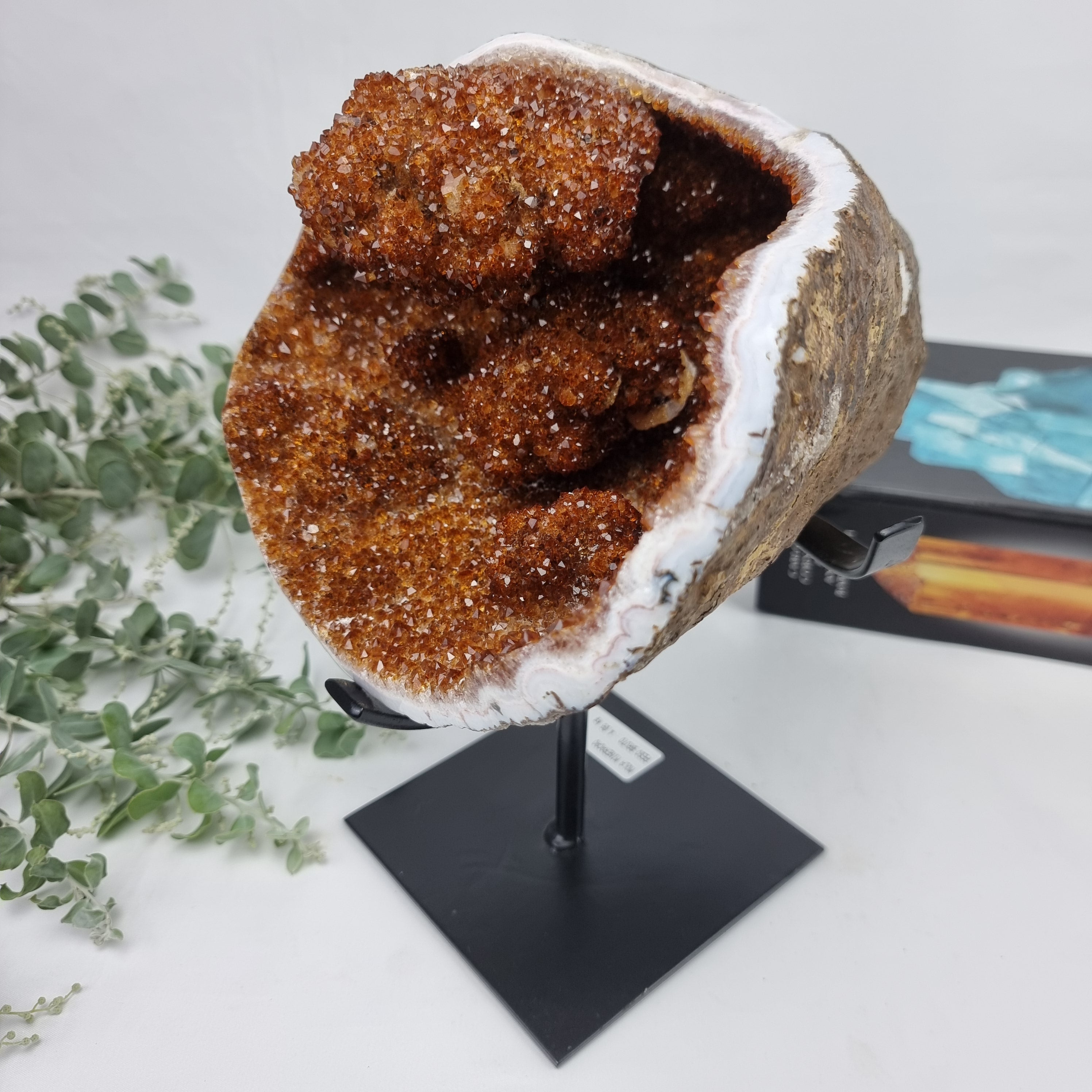 CITRINO Exótico Super Especial | Base de Ferro Preta | Peso 4,06 Kgs, Altura de 25 cm | Peça Artesanal BR Crystals