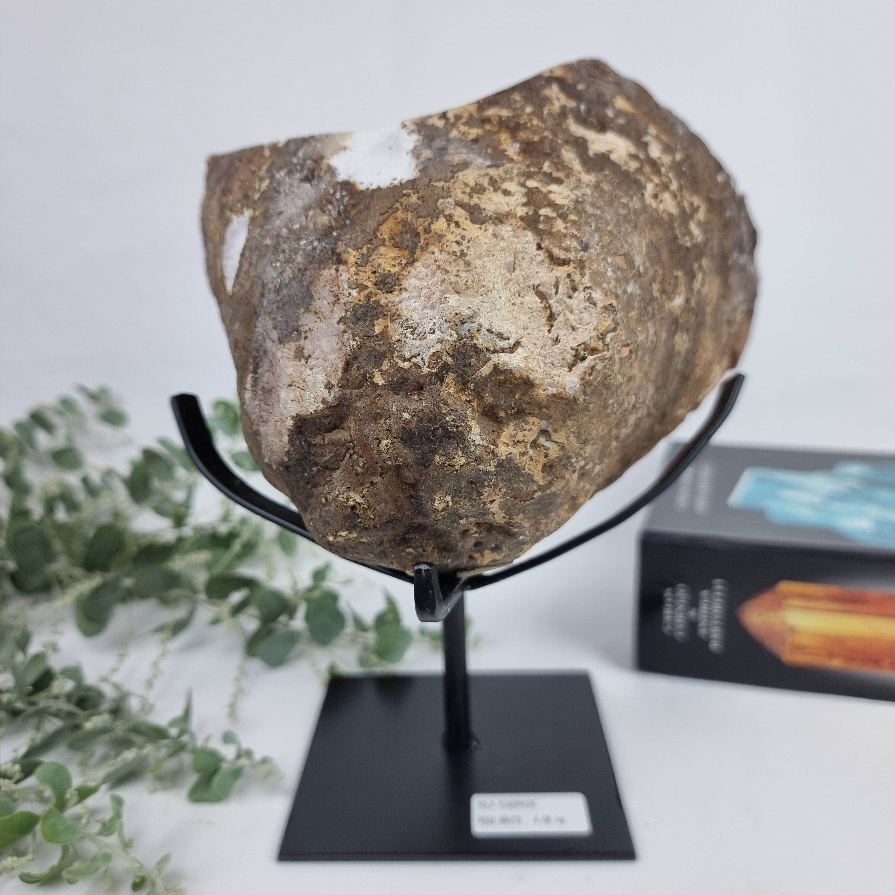 CITRINO Exótico Super Especial | Base de Ferro Preta | Peso 4,06 Kgs, Altura de 25 cm | Peça Artesanal BR Crystals