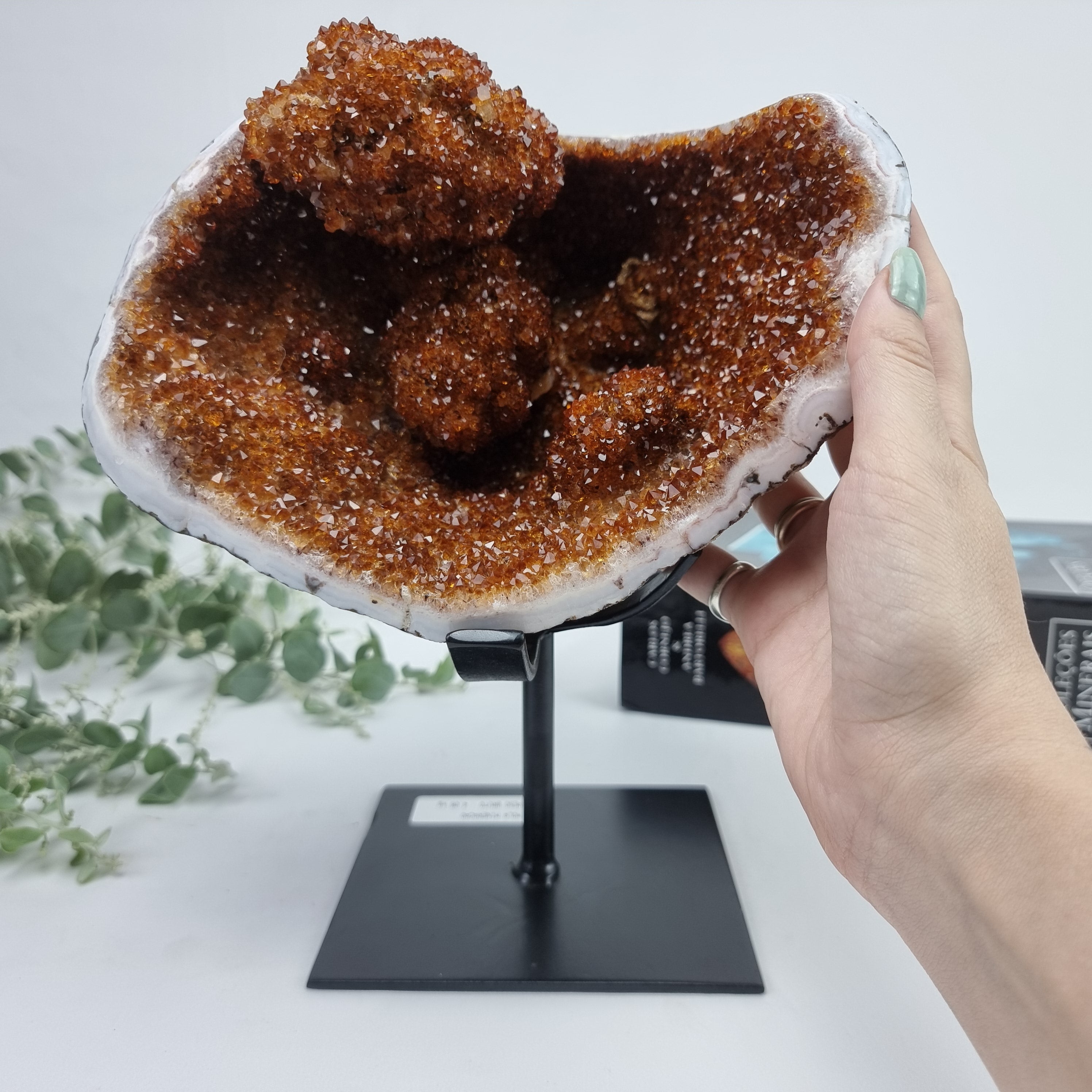 CITRINO Exótico Super Especial | Base de Ferro Preta | Peso 4,06 Kgs, Altura de 25 cm | Peça Artesanal BR Crystals