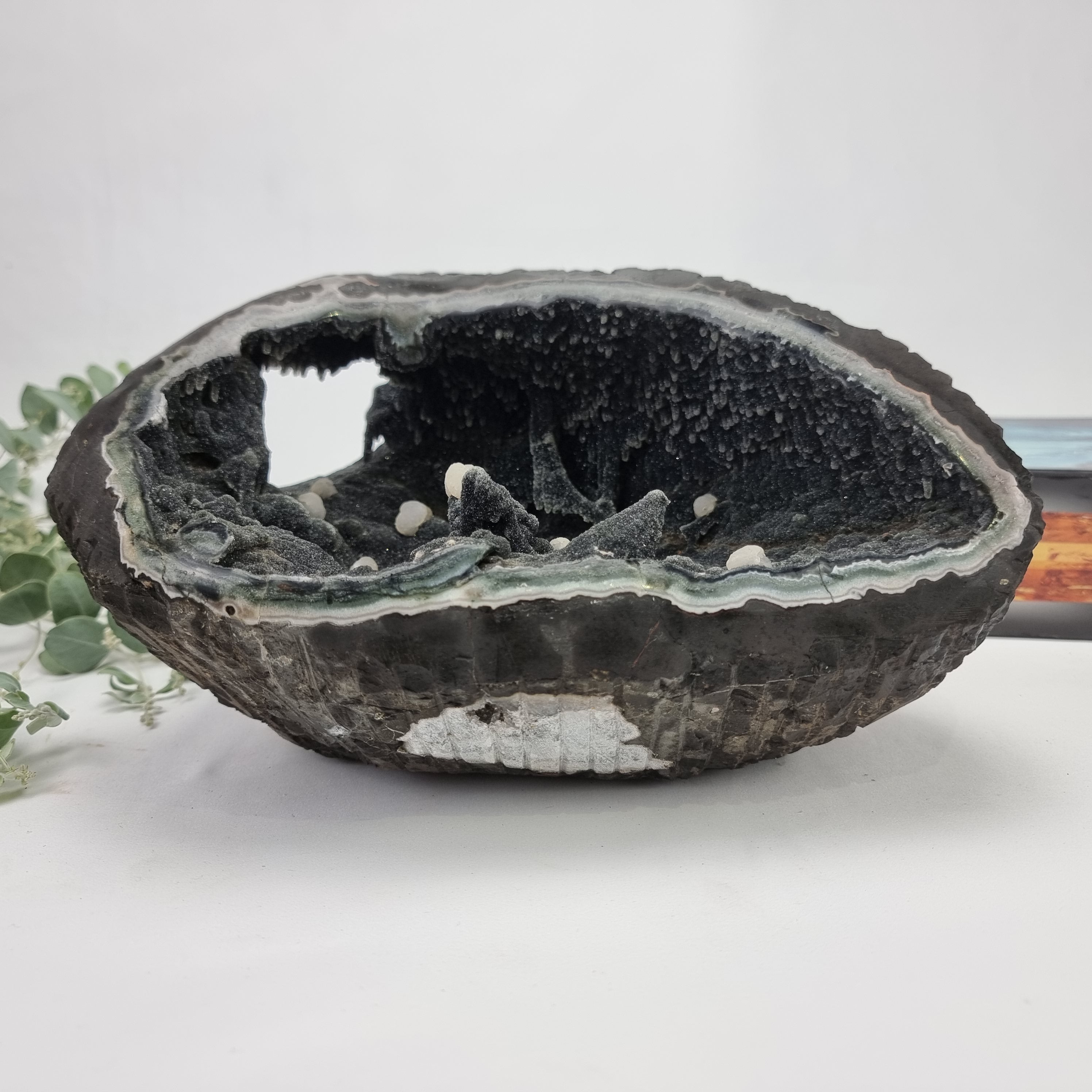 Ametista Especial Forma Drusa | Peso com 5,75 kgs, Comprimento 26 cm | Energia, Beleza e Sofisticação