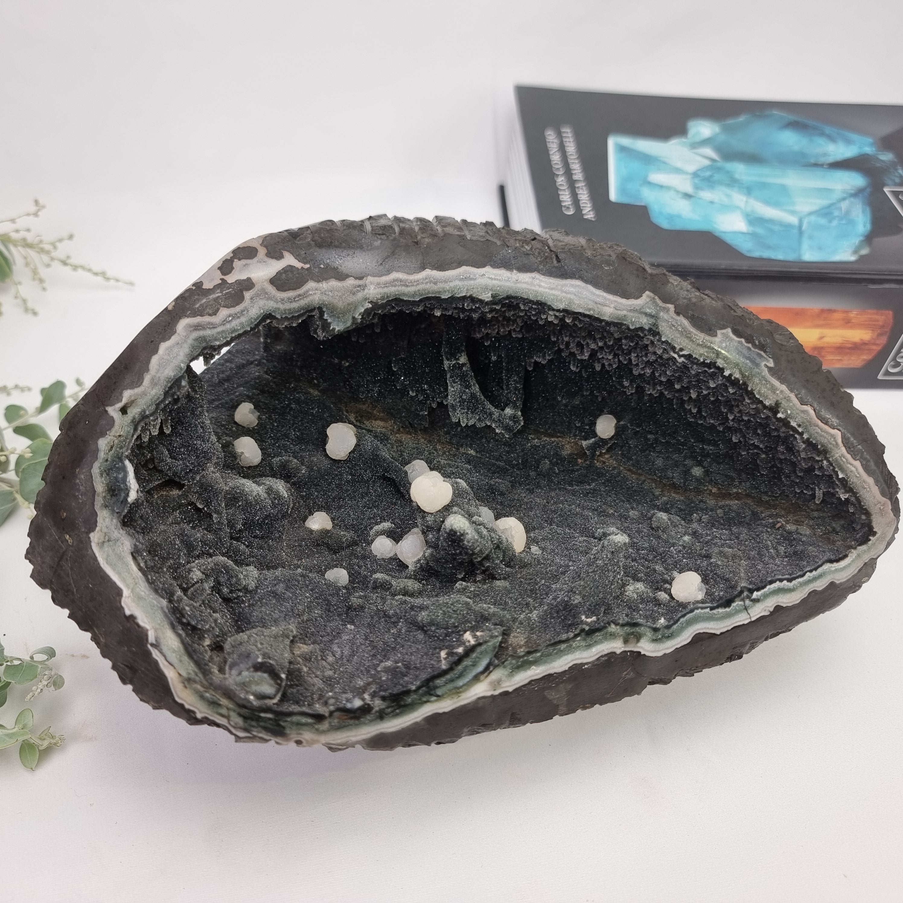 Ametista Especial Forma Drusa | Peso com 5,75 kgs, Comprimento 26 cm | Energia, Beleza e Sofisticação