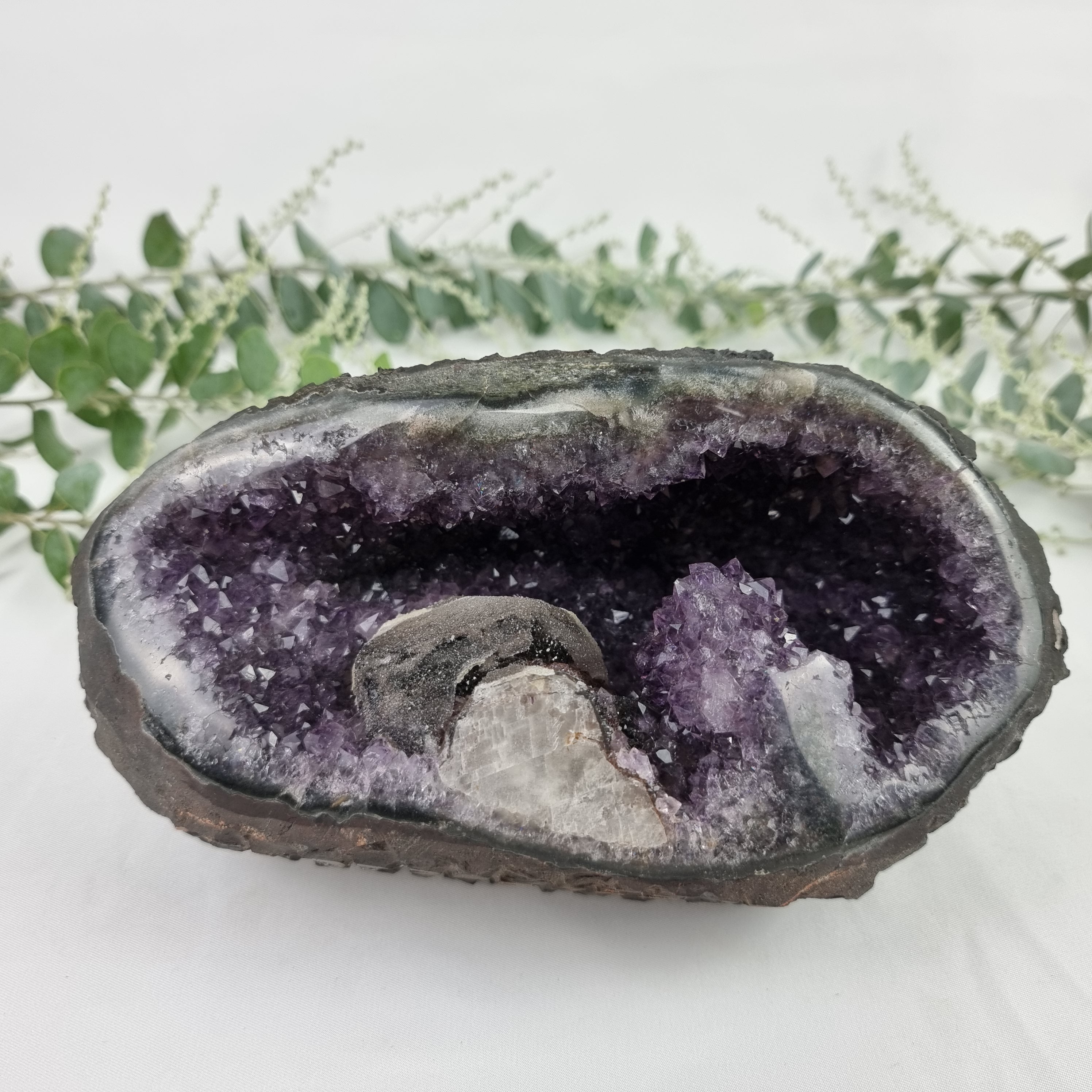 Ametista Especial Forma Drusa | Peso com 2,75 kgs ! Comprimento 20 cm | Energia, Beleza e Sofisticação