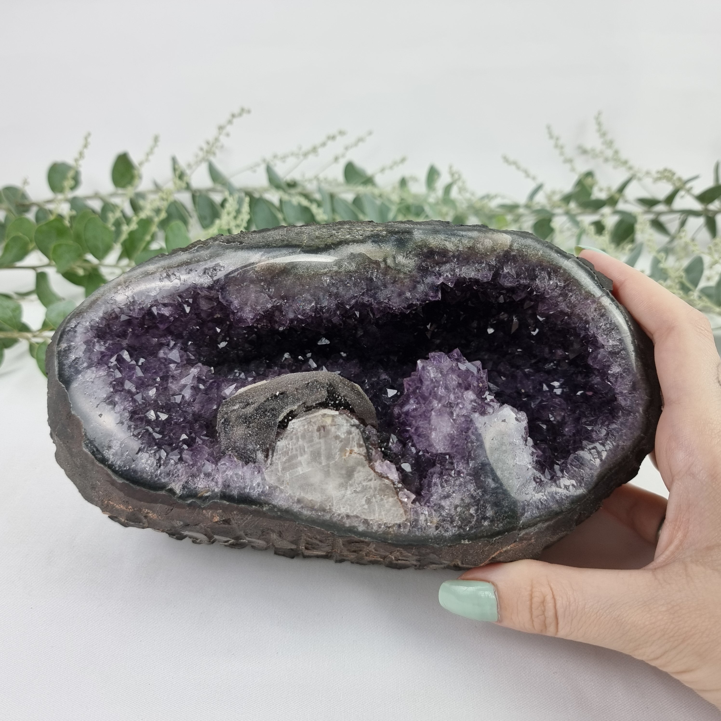 Ametista Especial Forma Drusa | Peso com 2,75 kgs ! Comprimento 20 cm | Energia, Beleza e Sofisticação