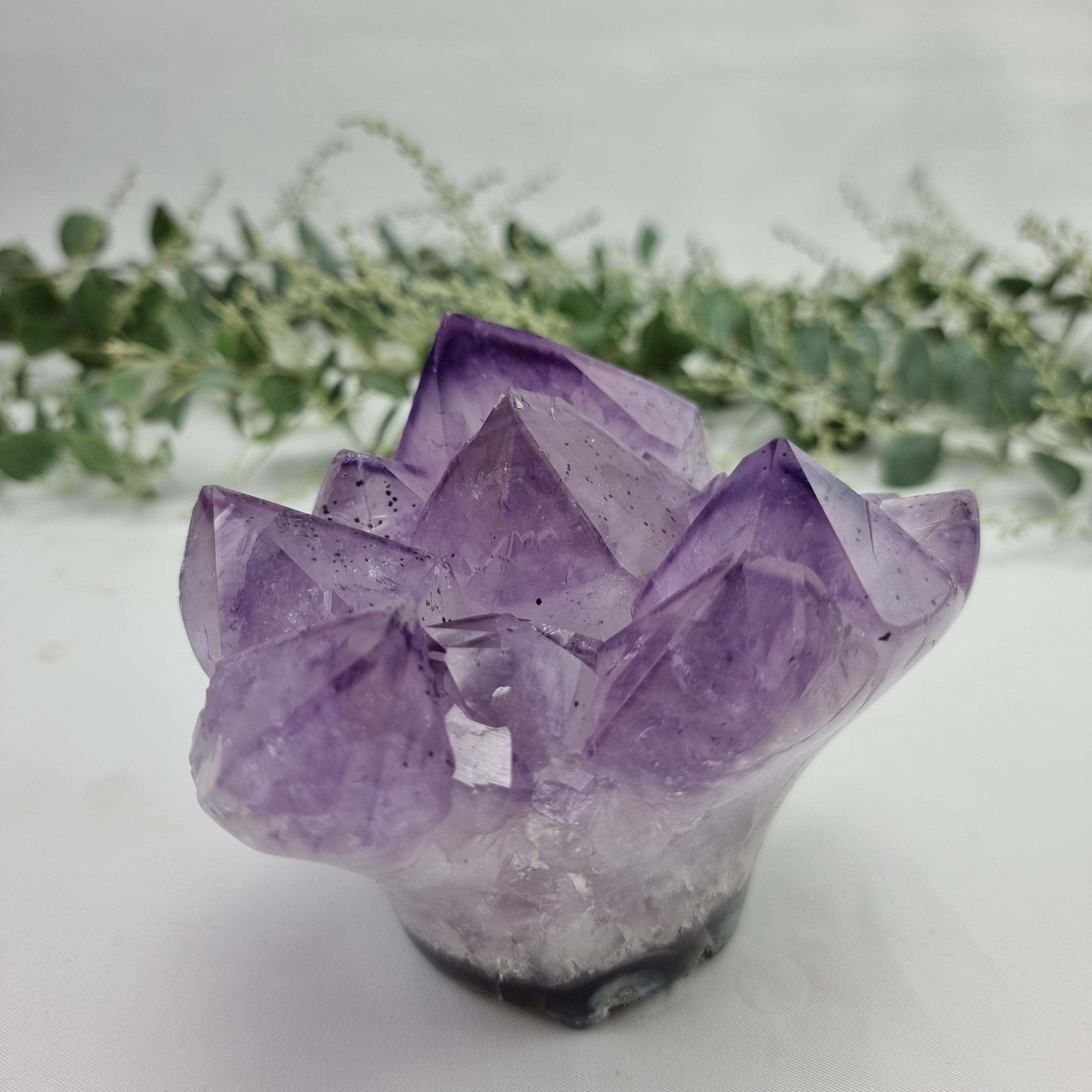 Flor de Ametista Natural | 1,40 Kgs, 12 cm Altura | Energia, Beleza e Sofisticação