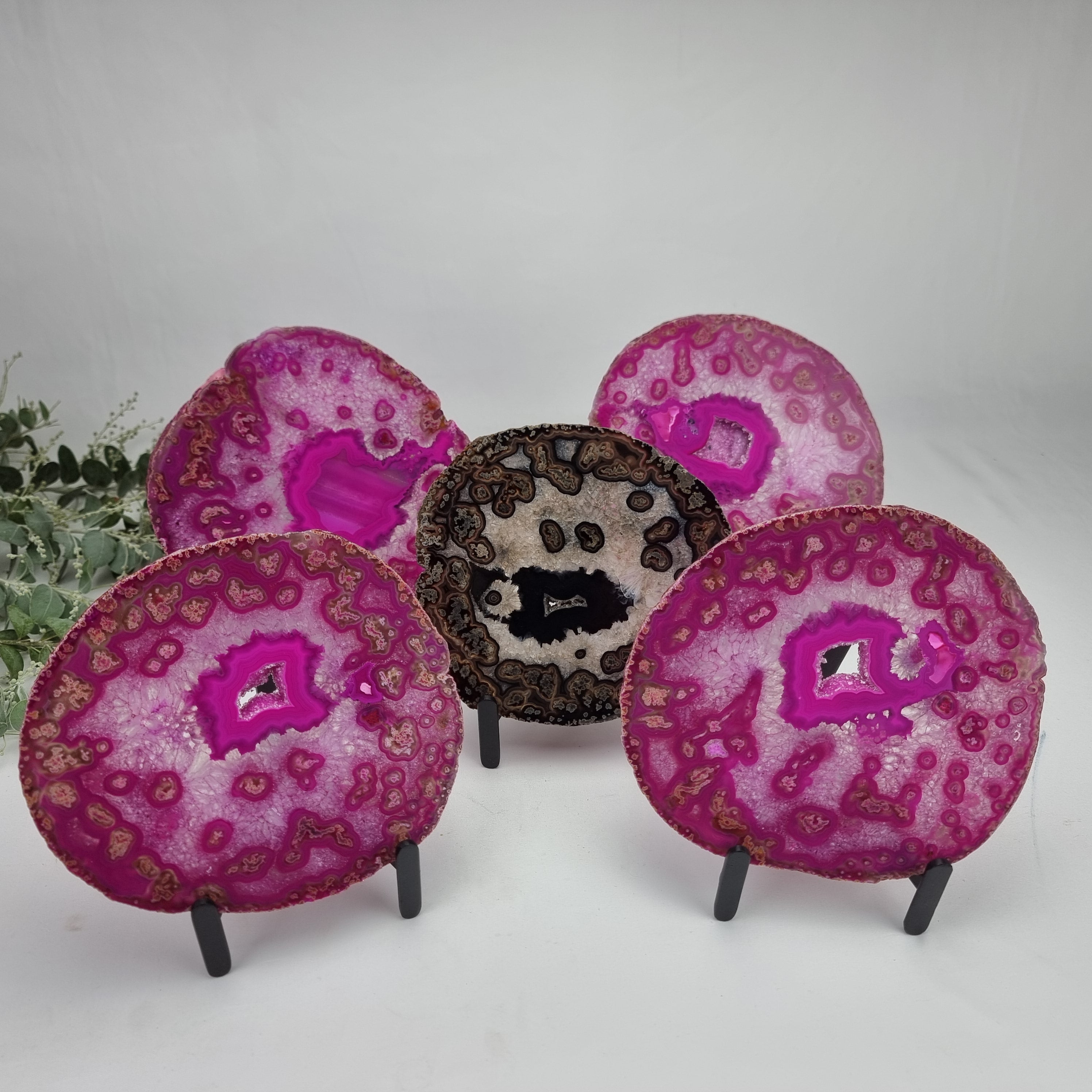 Chapas de Àgatas Rosa SUPER "SPECIAL" | Base de Ferro Preta | 5 Unidades | Peça Artesanal BR Crystals