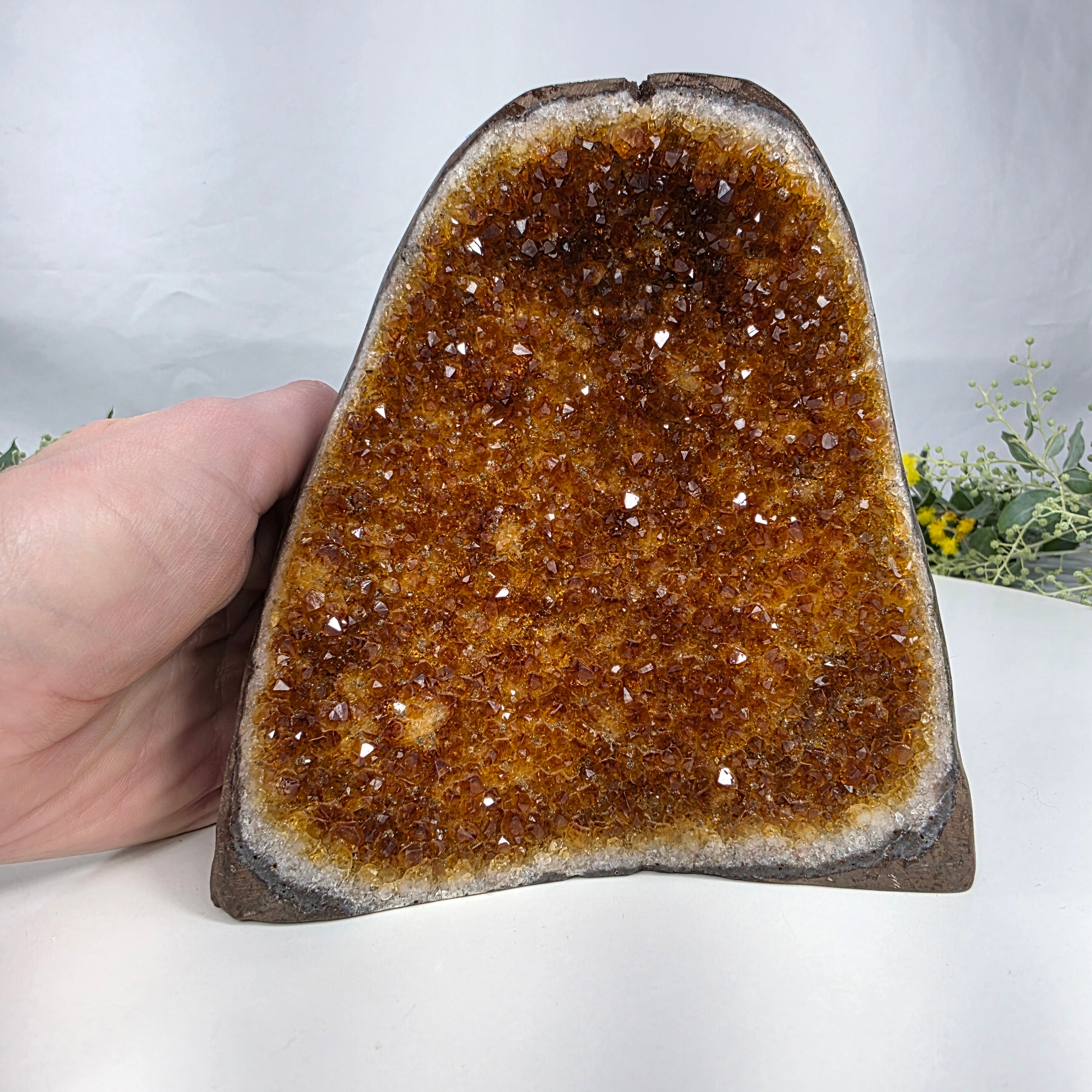 Drusa de Citrino Especial | Peso 1,30 Kgs, Altura de 13 cm | Peça Artesanal BR Crystals