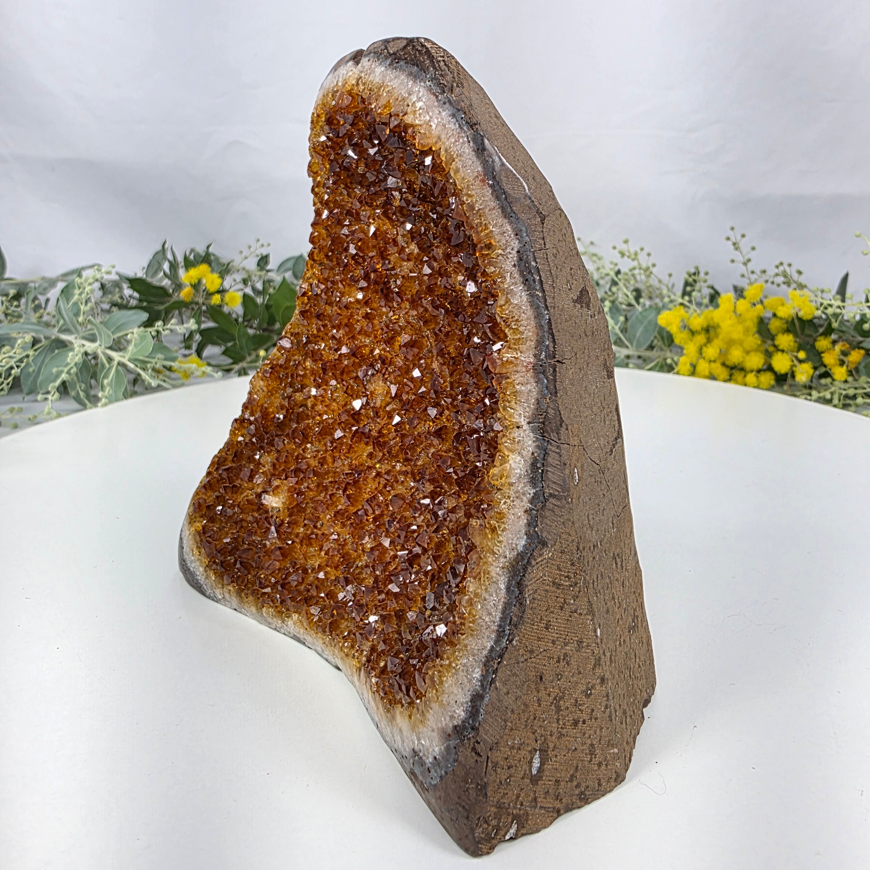 Drusa de Citrino Especial | Peso 1,30 Kgs, Altura de 13 cm | Peça Artesanal BR Crystals