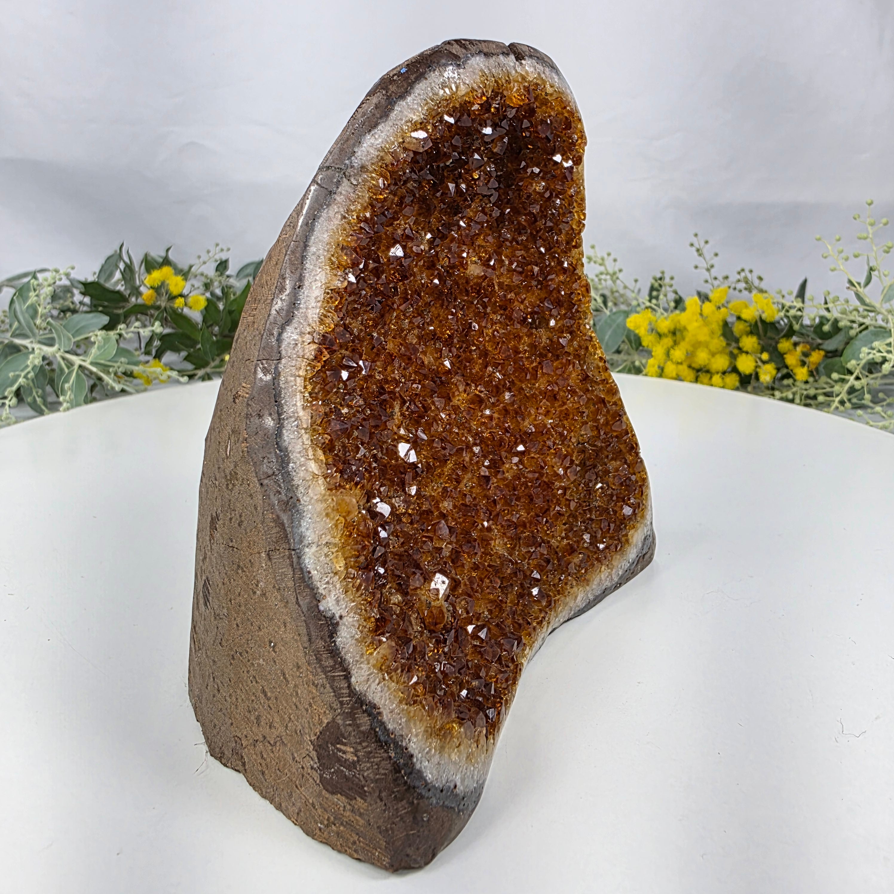 Drusa de Citrino Especial | Peso 1,30 Kgs, Altura de 13 cm | Peça Artesanal BR Crystals