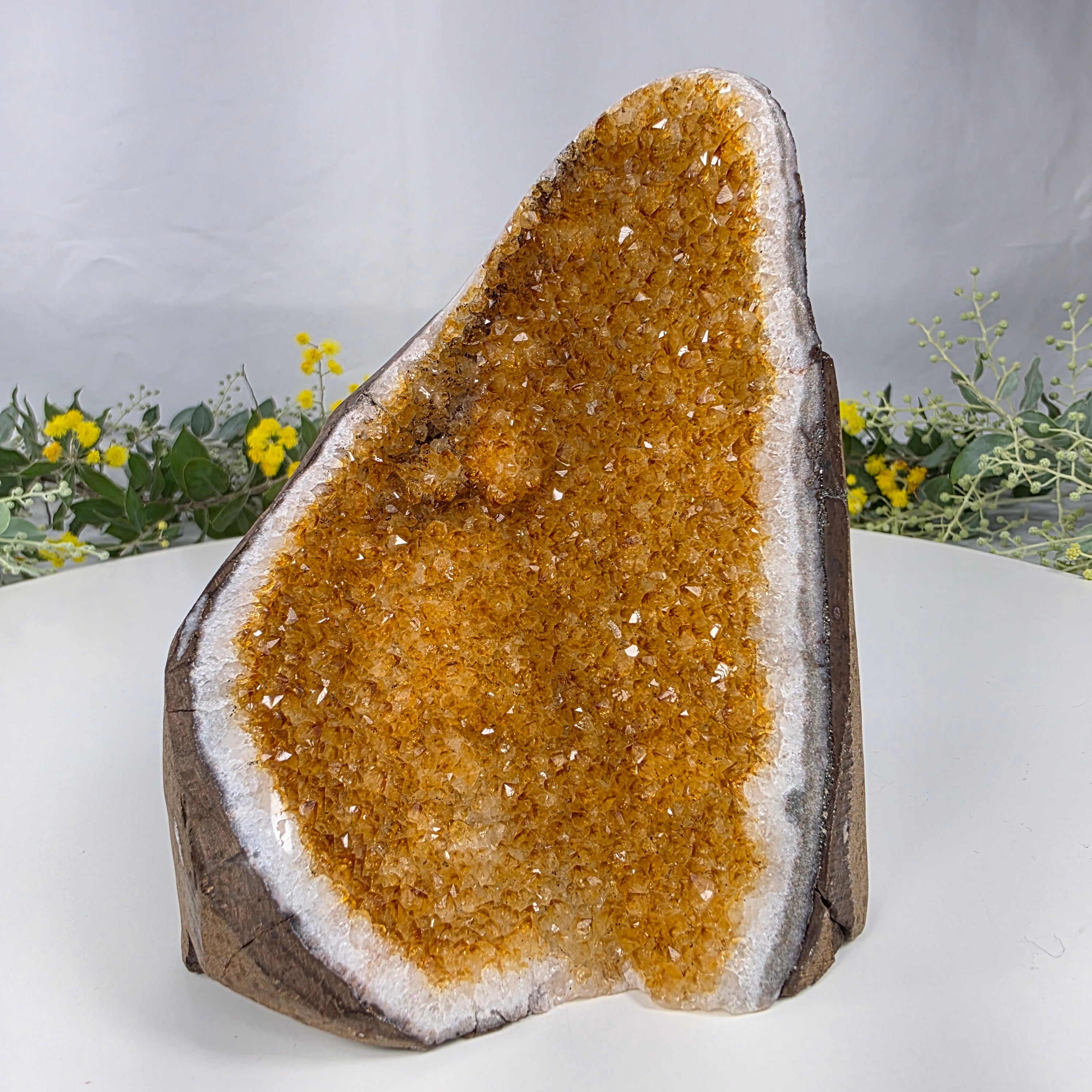 Drusa de Citrino Especial | Peso 0,80 Kgs, Altura de 13 cm | Peça Artesanal BR Crystals