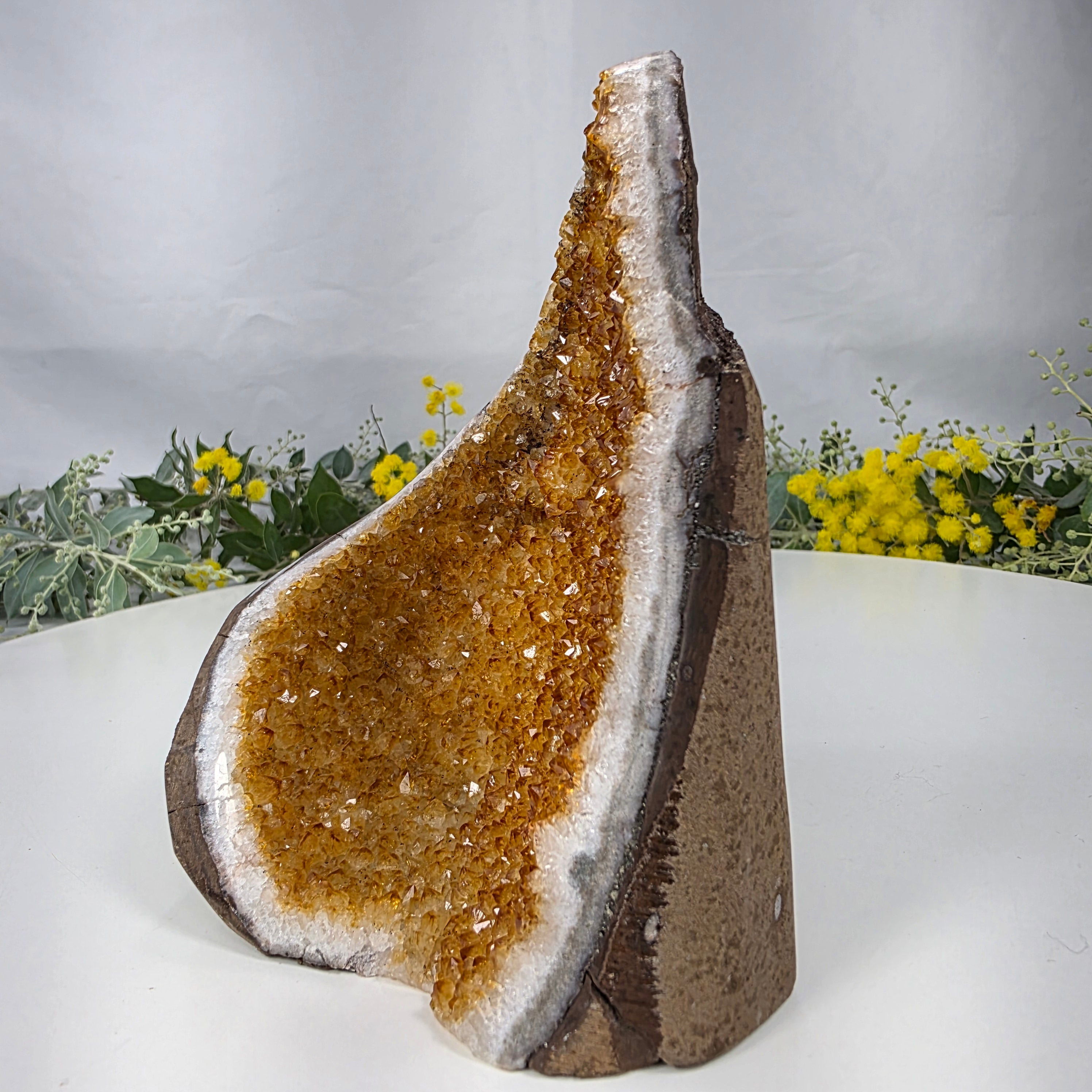 Drusa de Citrino Especial | Peso 0,80 Kgs, Altura de 13 cm | Peça Artesanal BR Crystals