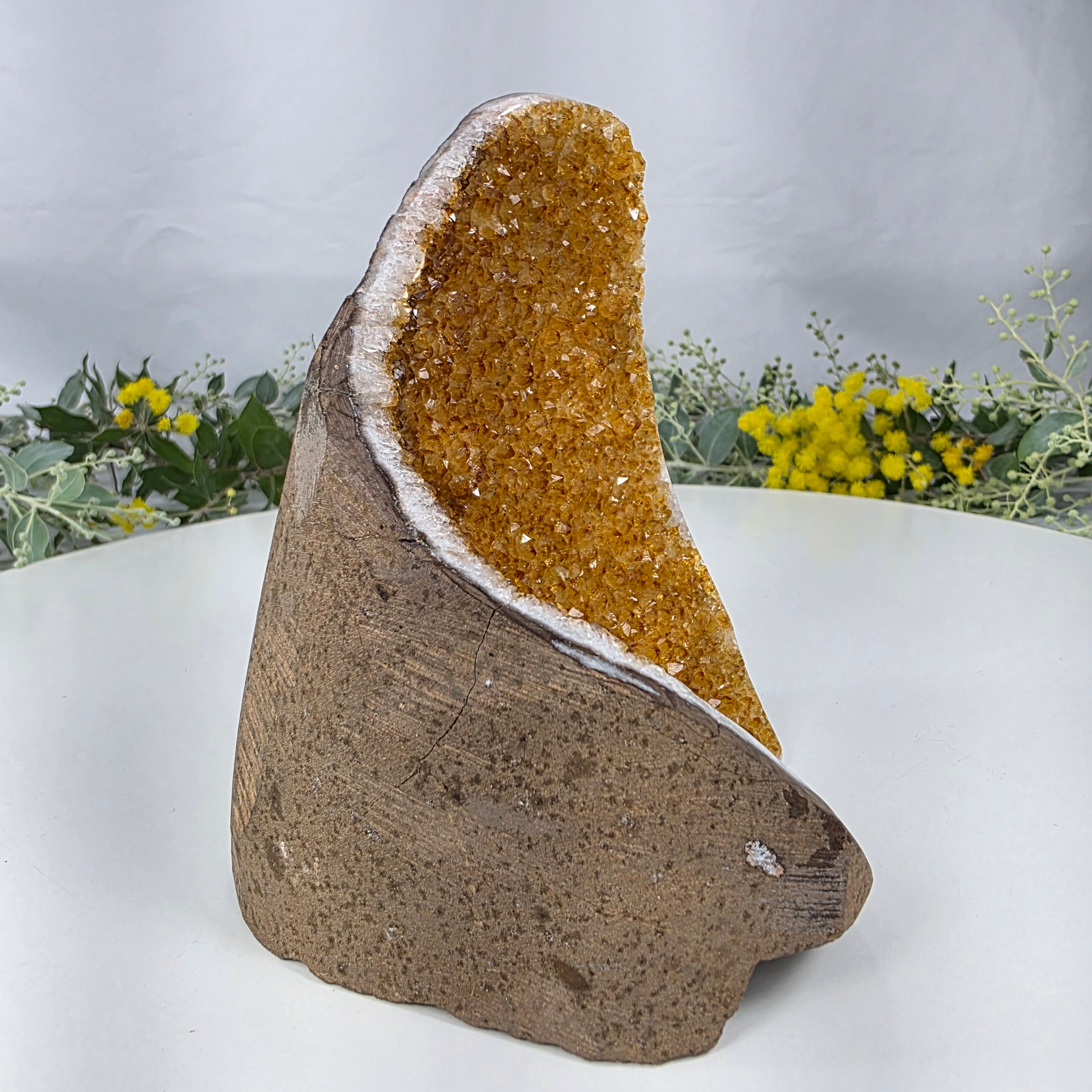 Drusa de Citrino Especial | Peso 0,80 Kgs, Altura de 13 cm | Peça Artesanal BR Crystals