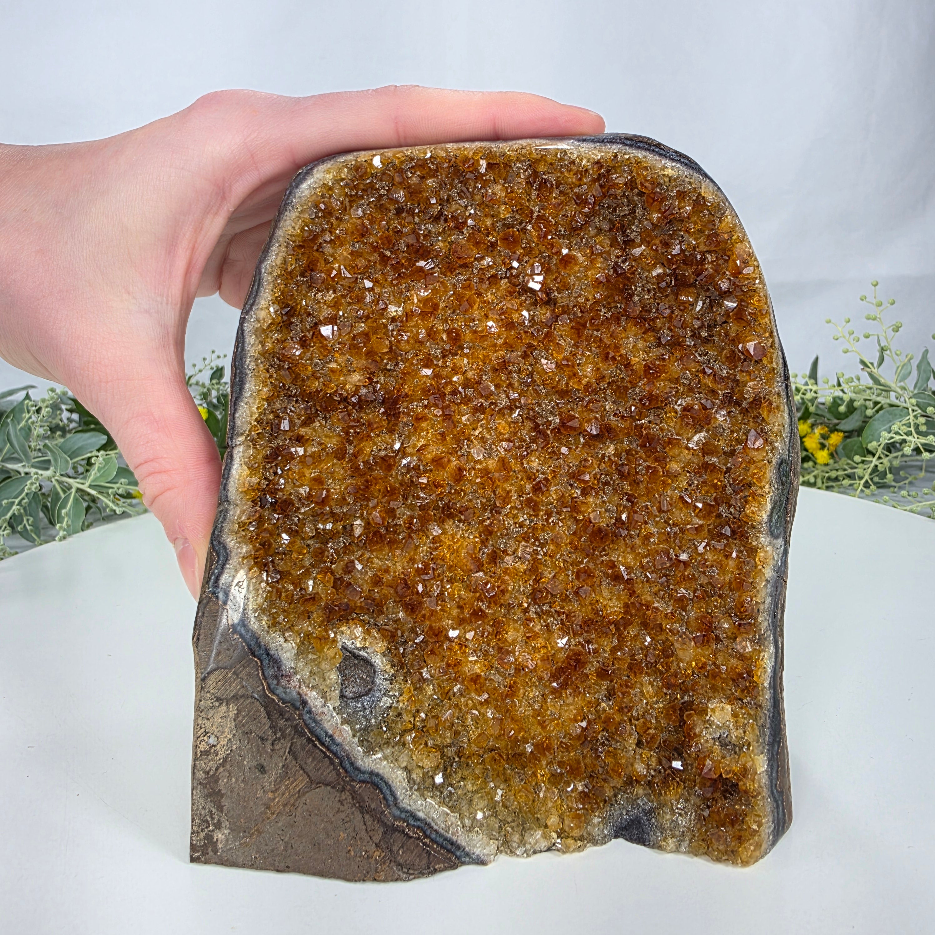 Drusa de Citrino Especial | Peso 1,15 Kgs, Altura de 14 cm | Peça Artesanal BR Crystals