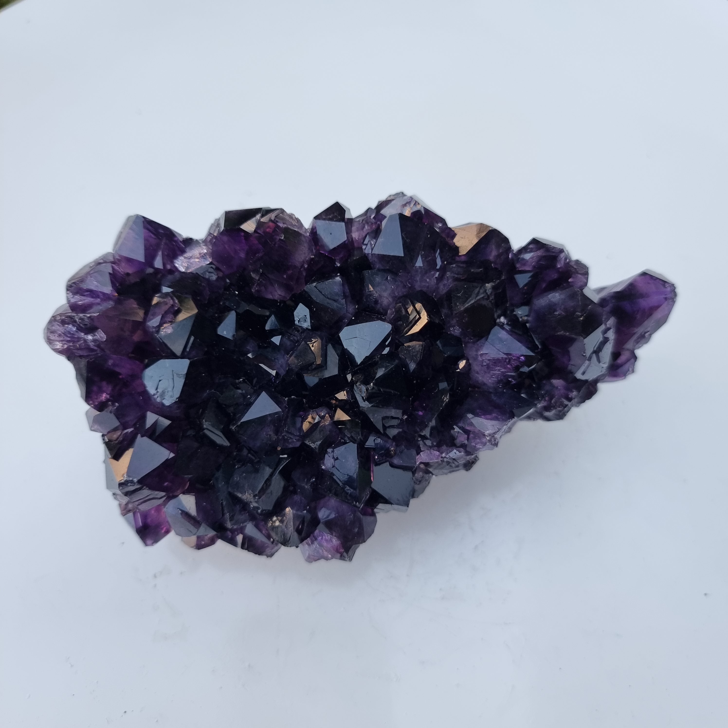 Drusas de Ametista Super Roxa | Peso 1,70 Kgs, Comprimento 18 cm | Energia, Beleza e Sofisticação