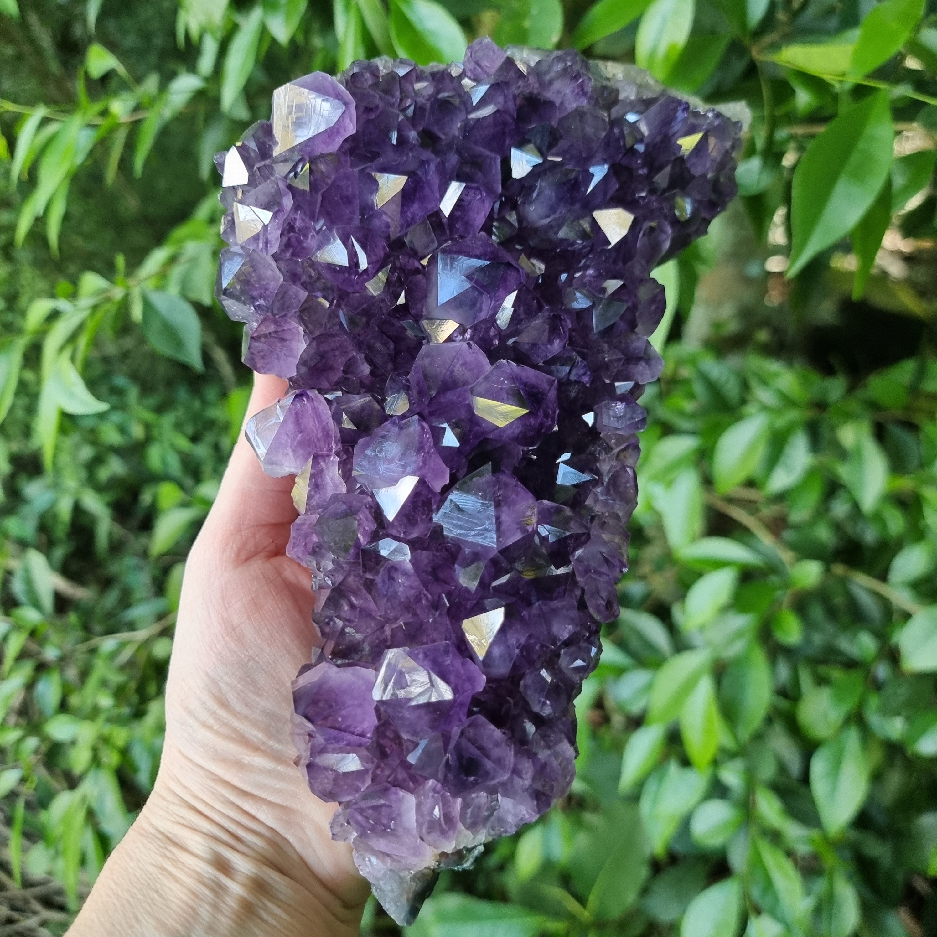 Drusas de Ametista Super Roxa | Peso 1,90 Kgs, Comprimento 20 cm | Energia, Beleza e Sofisticação