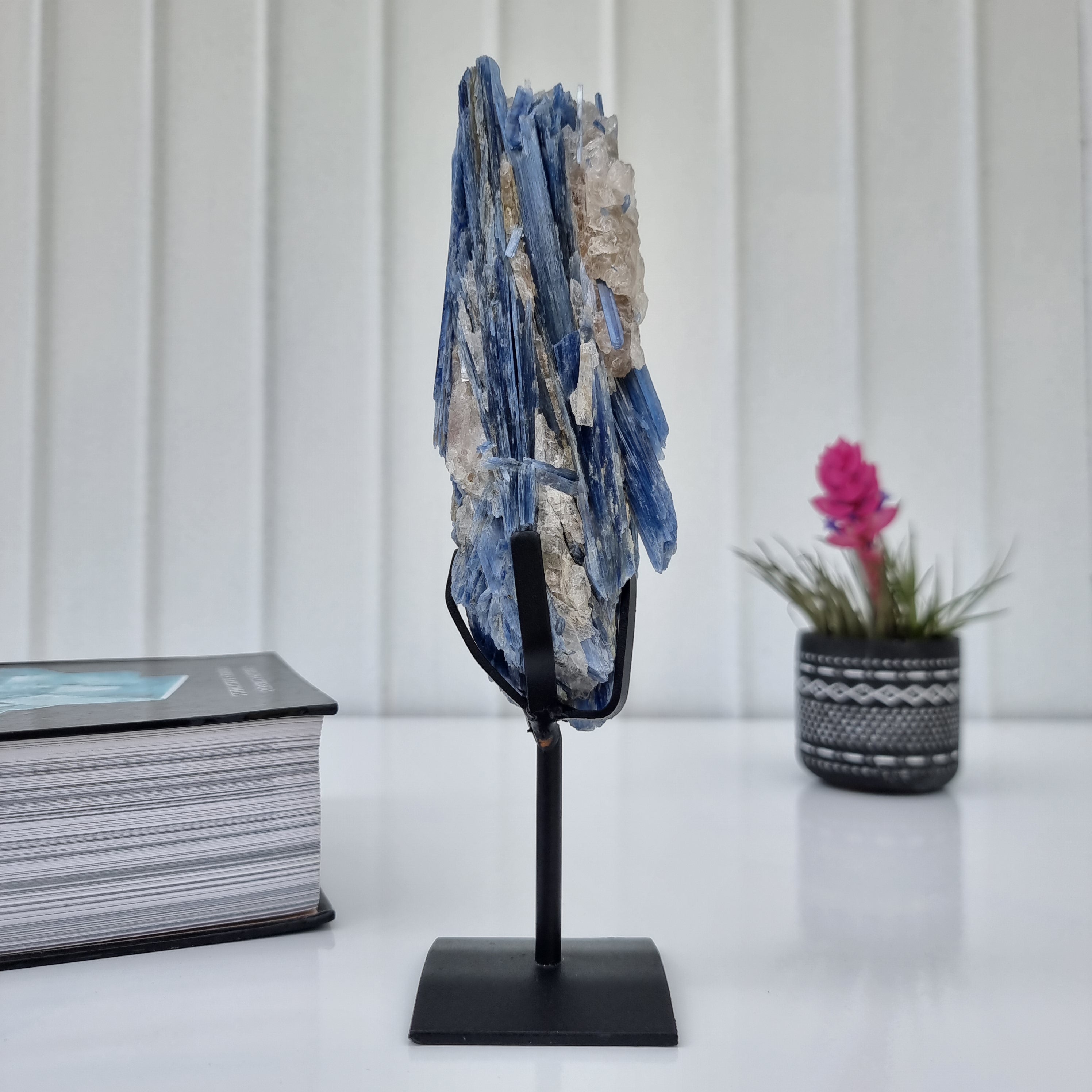 Cianita Natural Especial | Peso 0,70 Kgs, Altura 24 cm | Energia, Beleza e Sofisticação