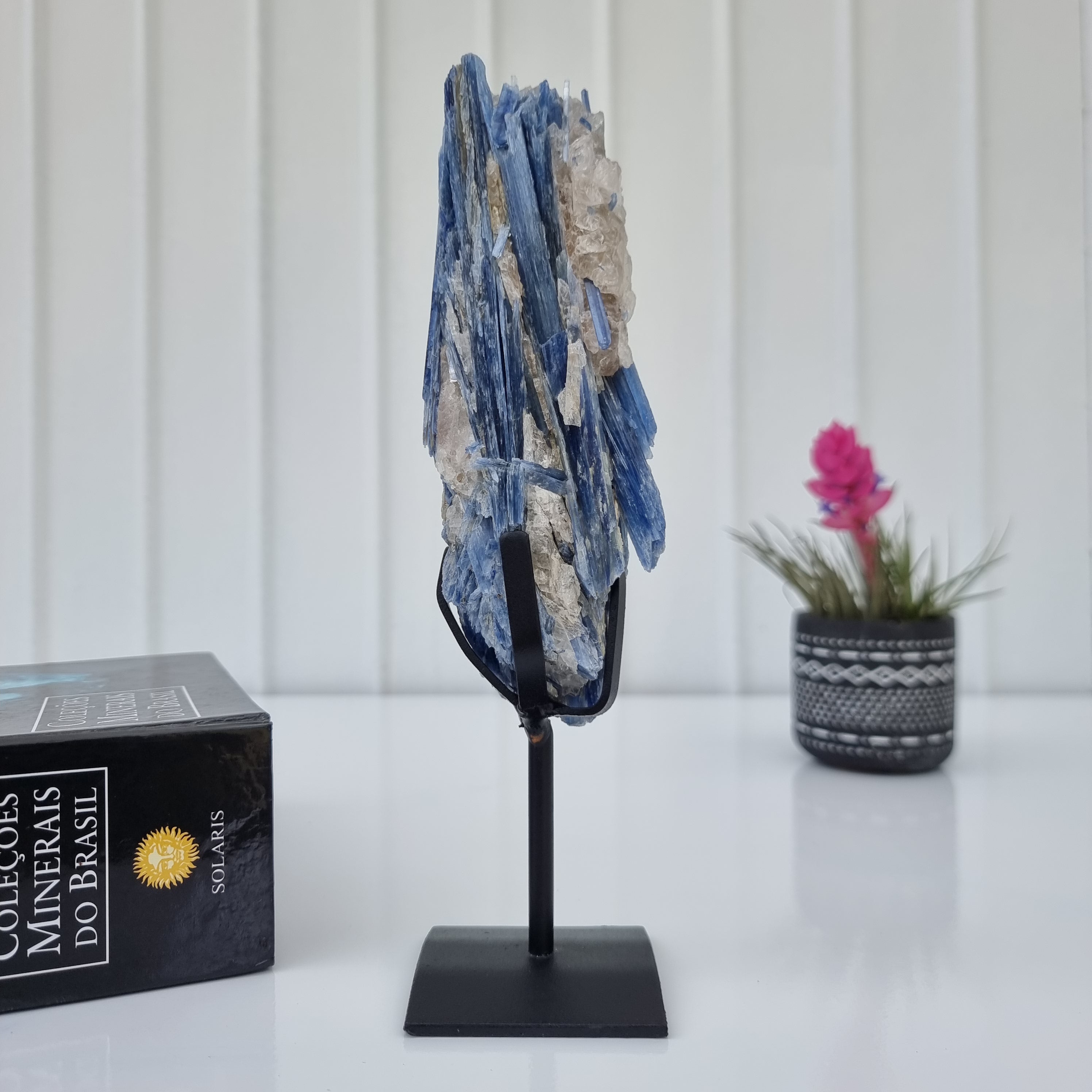 Cianita Natural Especial | Peso 0,70 Kgs, Altura 24 cm | Energia, Beleza e Sofisticação