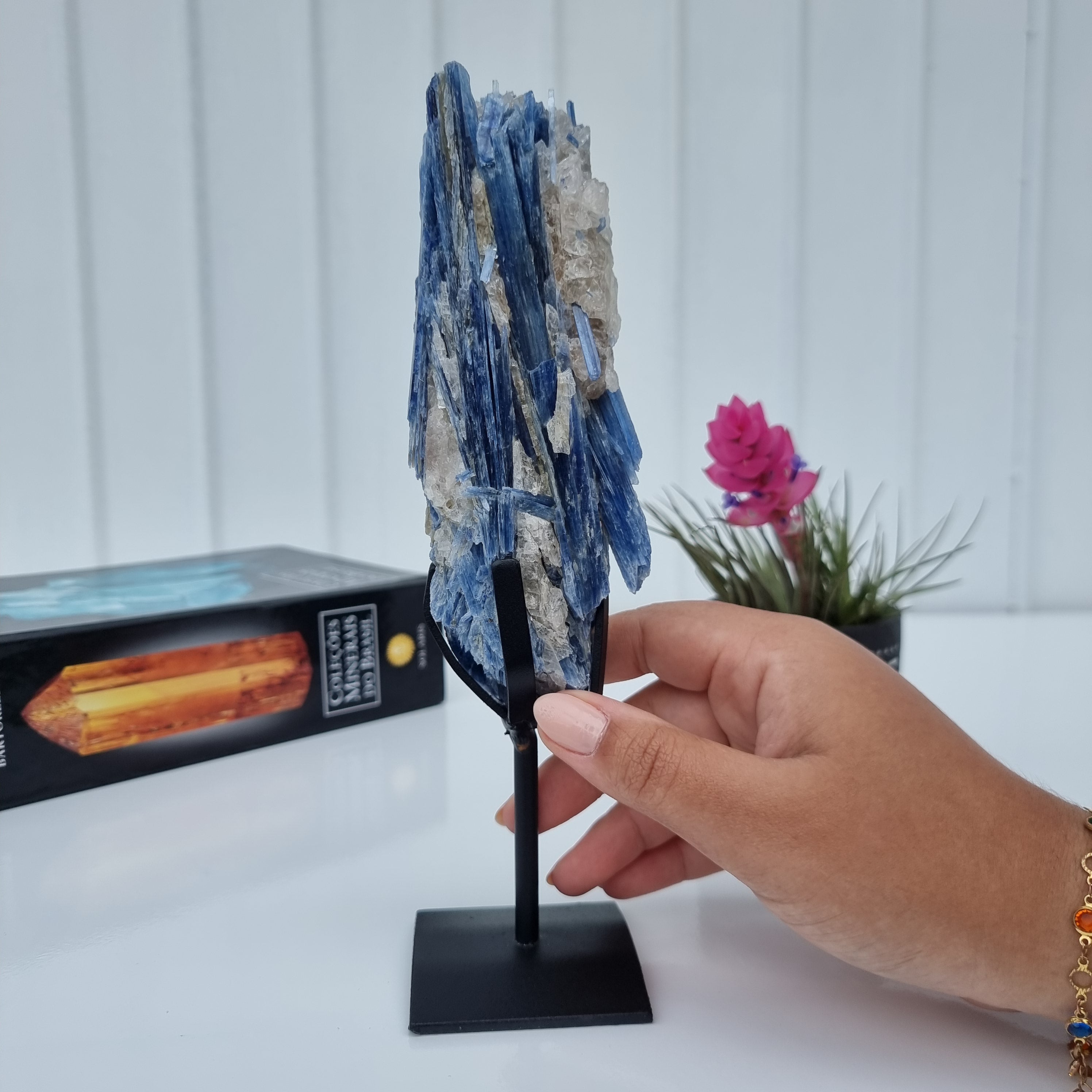 Cianita Natural Especial | Peso 0,70 Kgs, Altura 24 cm | Energia, Beleza e Sofisticação