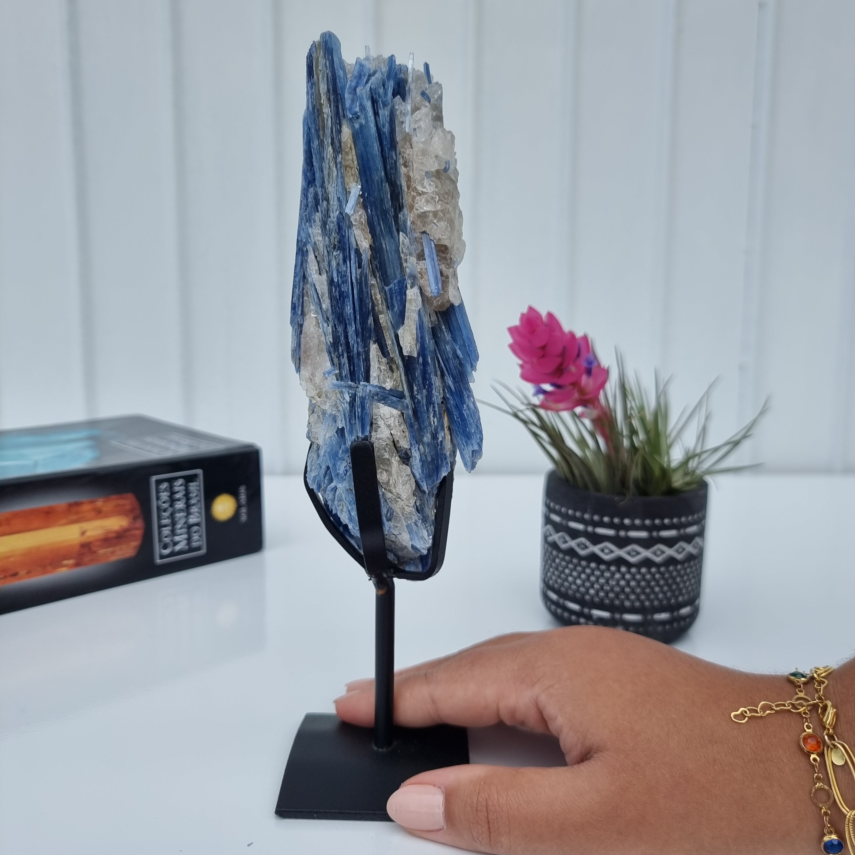 Cianita Natural Especial | Peso 0,70 Kgs, Altura 24 cm | Energia, Beleza e Sofisticação