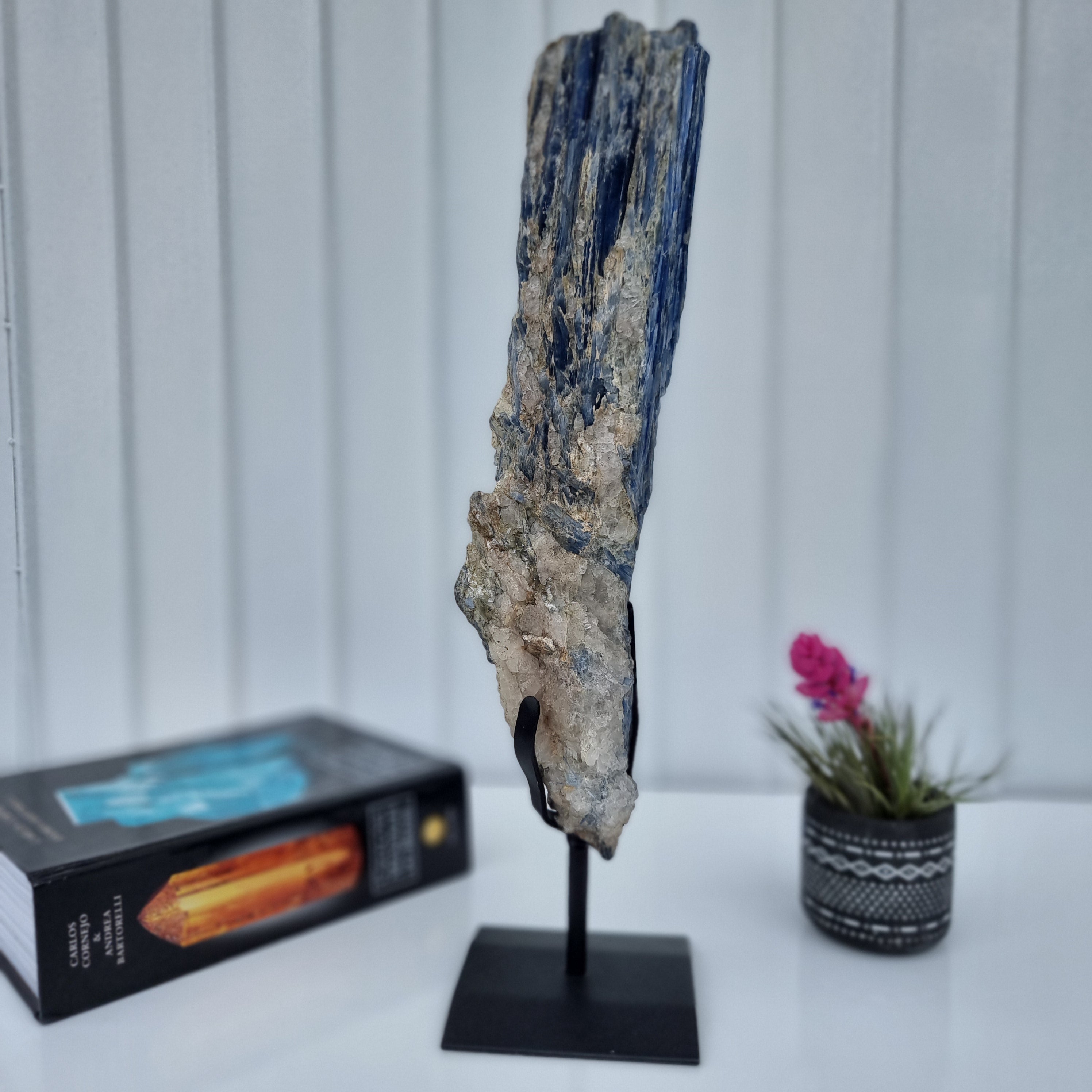 Cianita Natural Especial | Peso 2,60 Kgs, Altura 44 cm | Energia, Beleza e Sofisticação