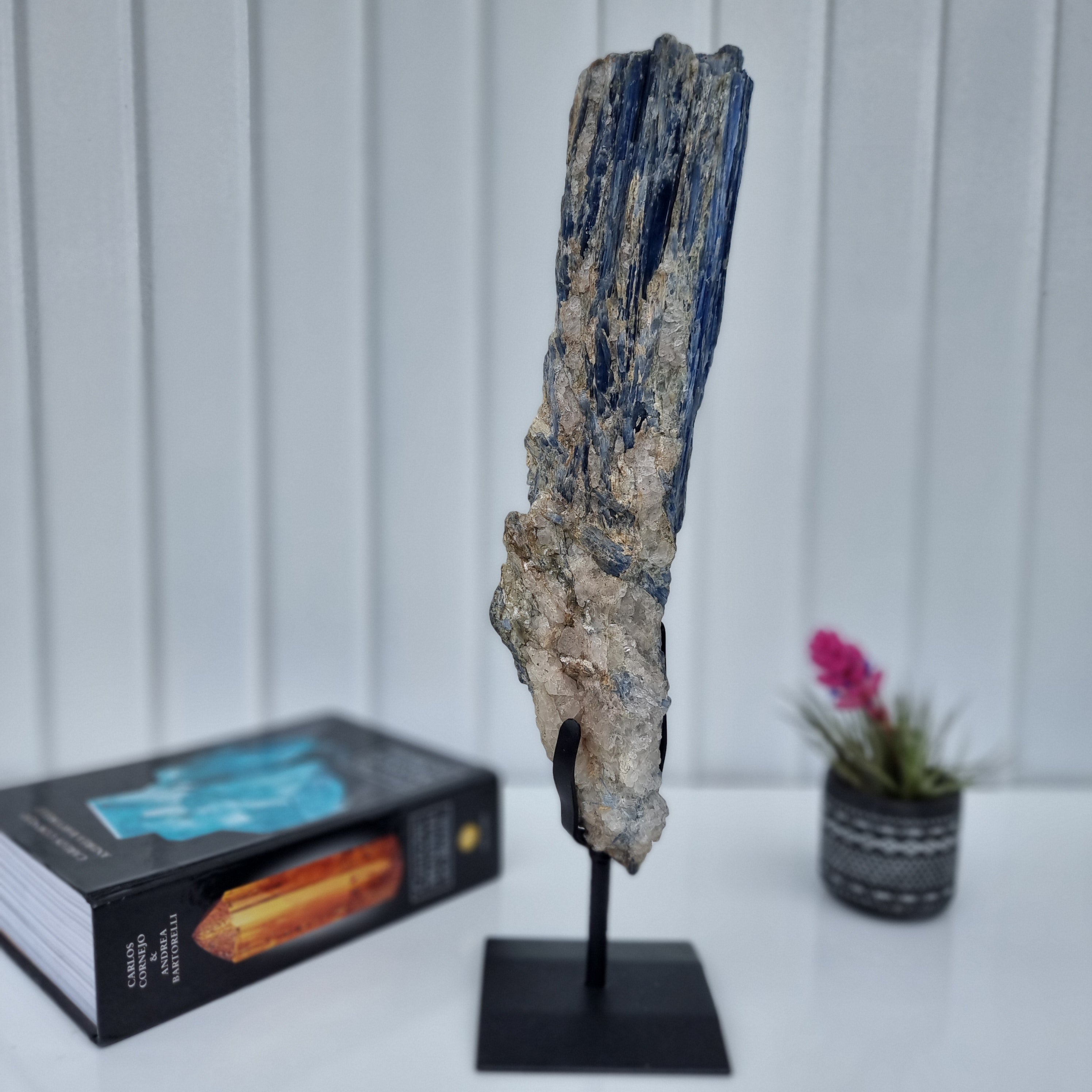 Cianita Natural Especial | Peso 2,60 Kgs, Altura 44 cm | Energia, Beleza e Sofisticação