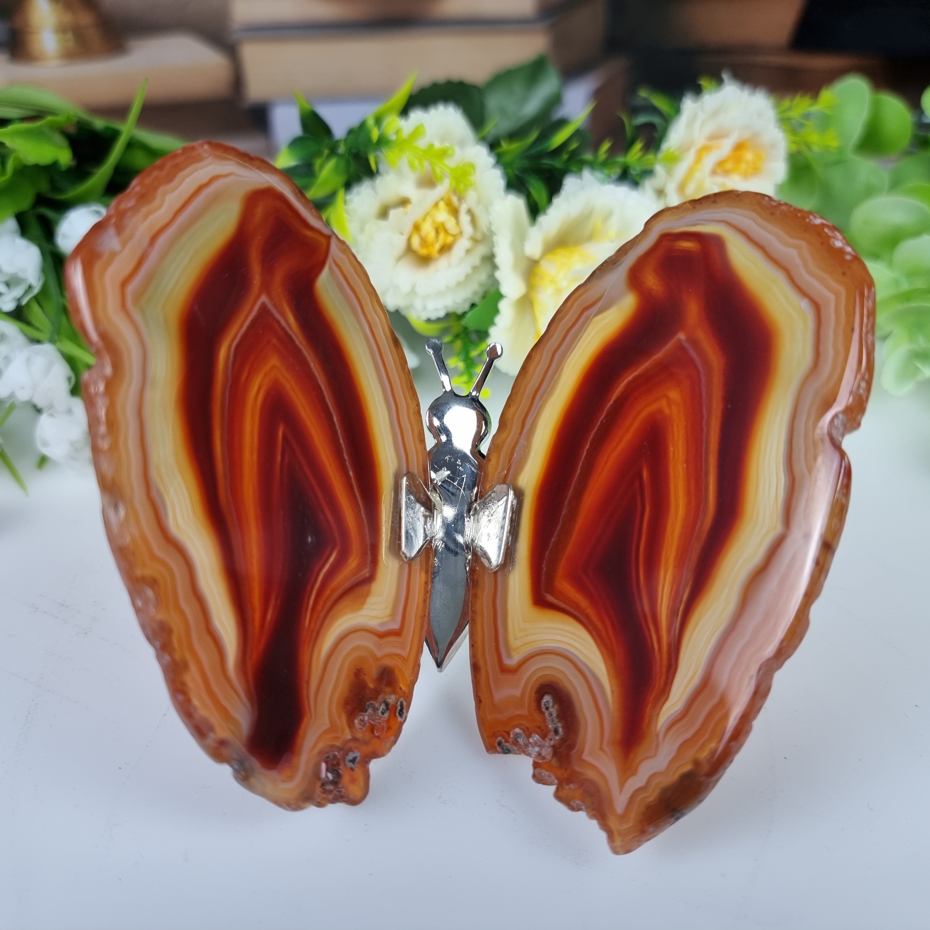 Borboletas Ágatas Naturais Inseto tamanho 10 A 12 cm Prateado e Peso de 150 gramas