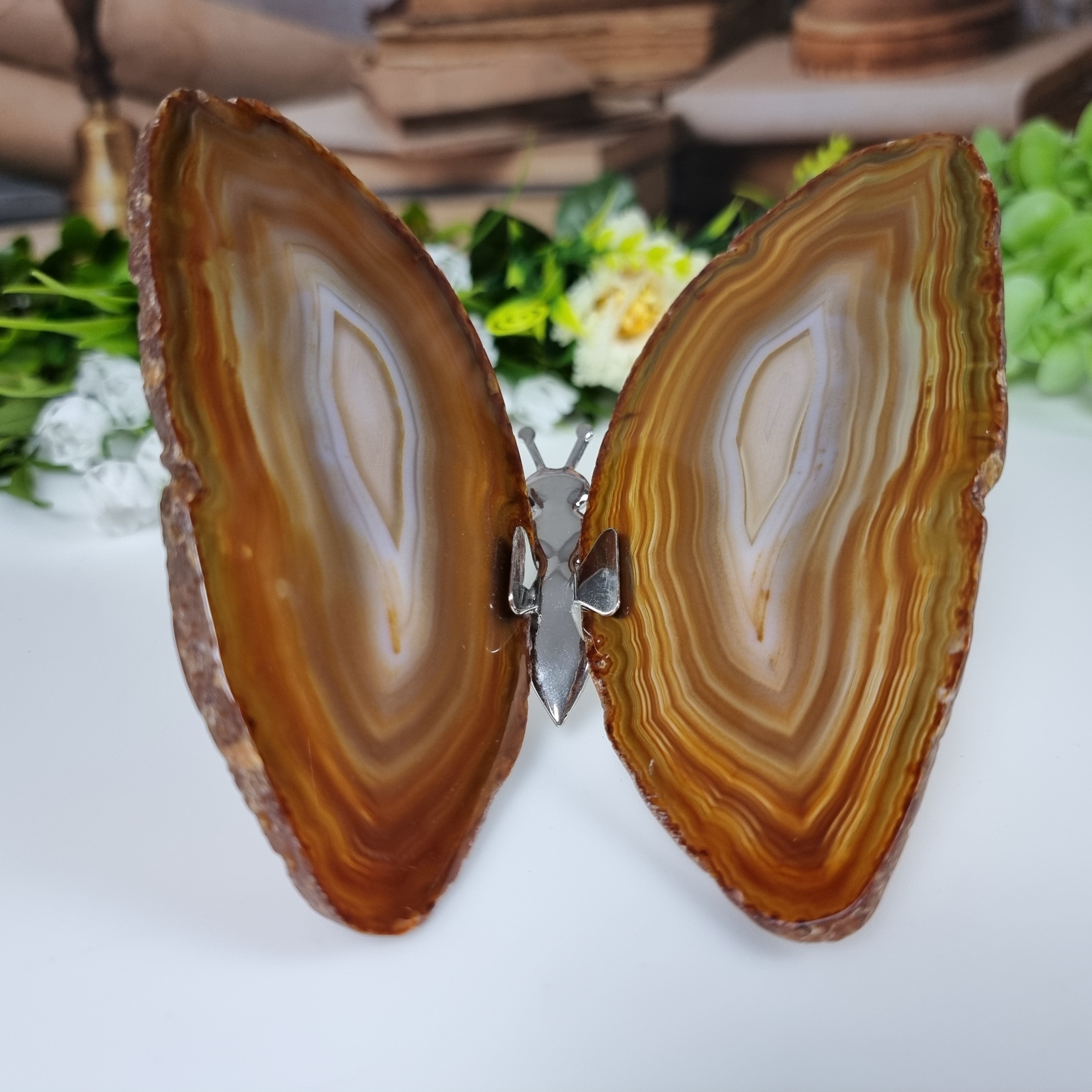 Borboletas Ágatas Naturais Inseto tamanho 10 A 12 cm Prateado e Peso de 150 gramas