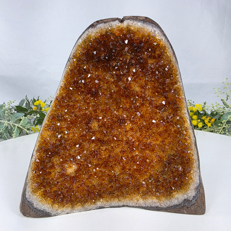 Drusa de Citrino Especial | Peso 1,30 Kgs, Altura de 13 cm | Peça Artesanal BR Crystals