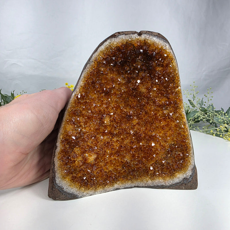 Drusa de Citrino Especial | Peso 1,30 Kgs, Altura de 13 cm | Peça Artesanal BR Crystals