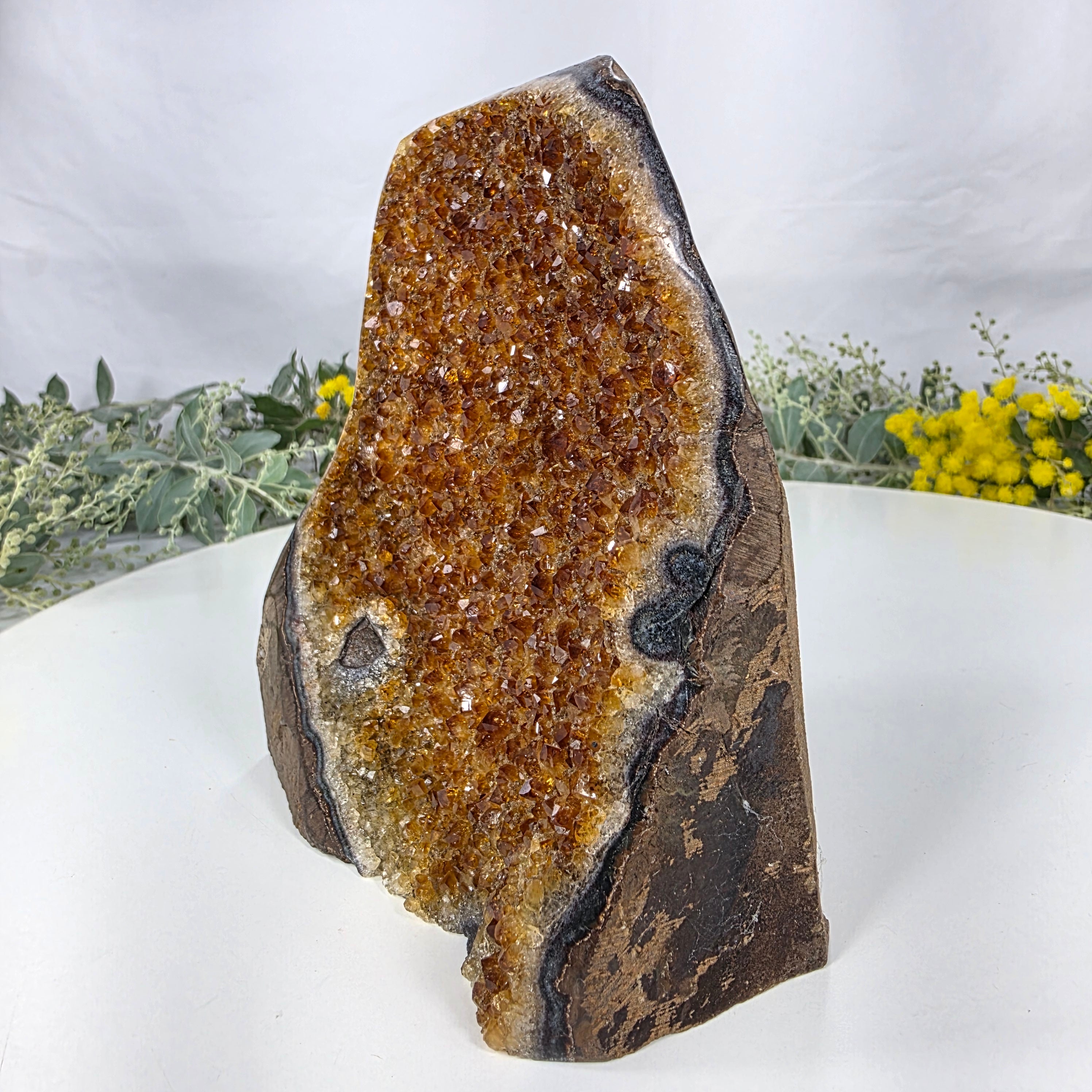 Drusa de Citrino Especial | Peso 1,15 Kgs, Altura de 14 cm | Peça Artesanal BR Crystals