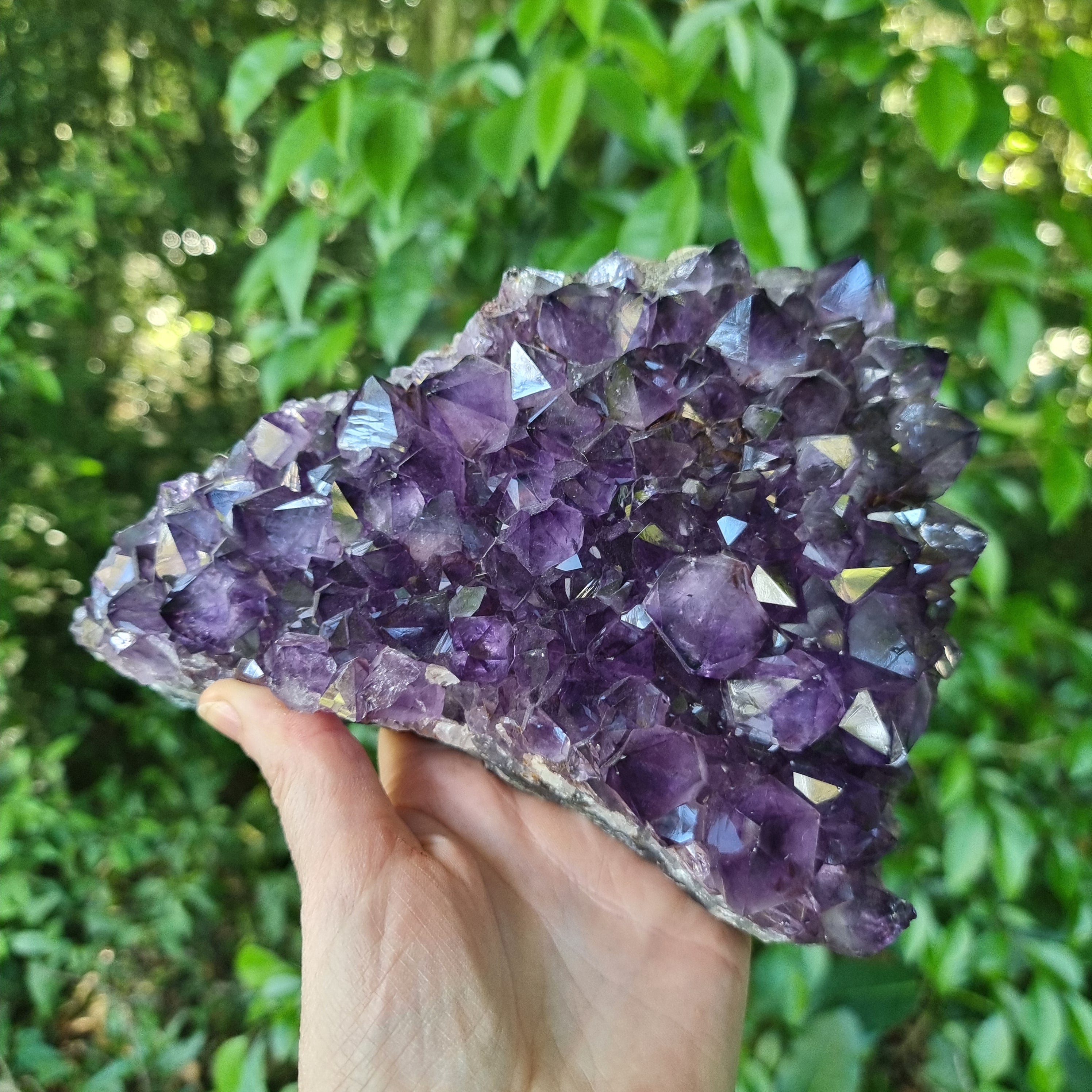 Drusas de Ametista Super Roxa | Peso 1,90 Kgs, Comprimento 20 cm | Energia, Beleza e Sofisticação