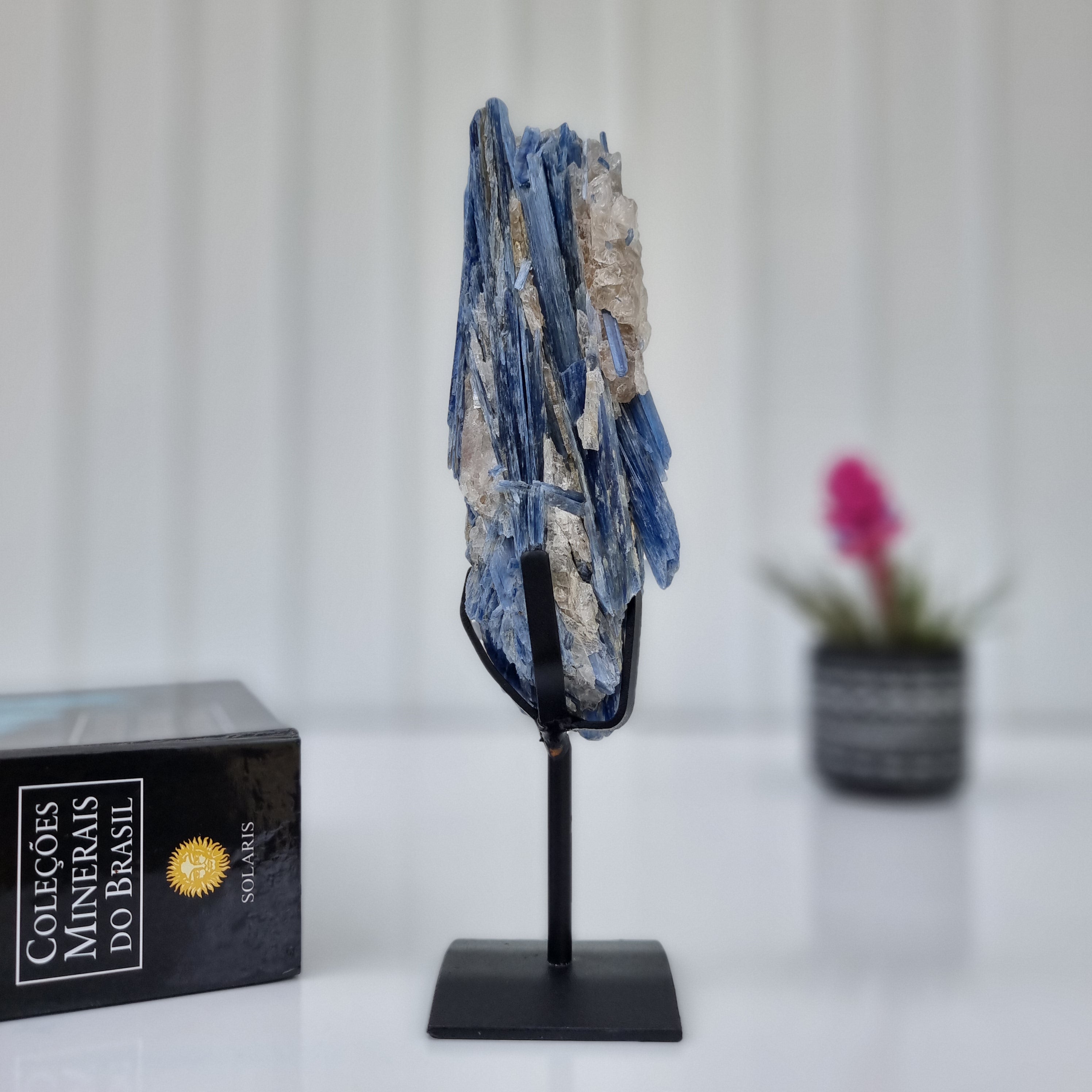 Cianita Natural Especial | Peso 0,70 Kgs, Altura 24 cm | Energia, Beleza e Sofisticação