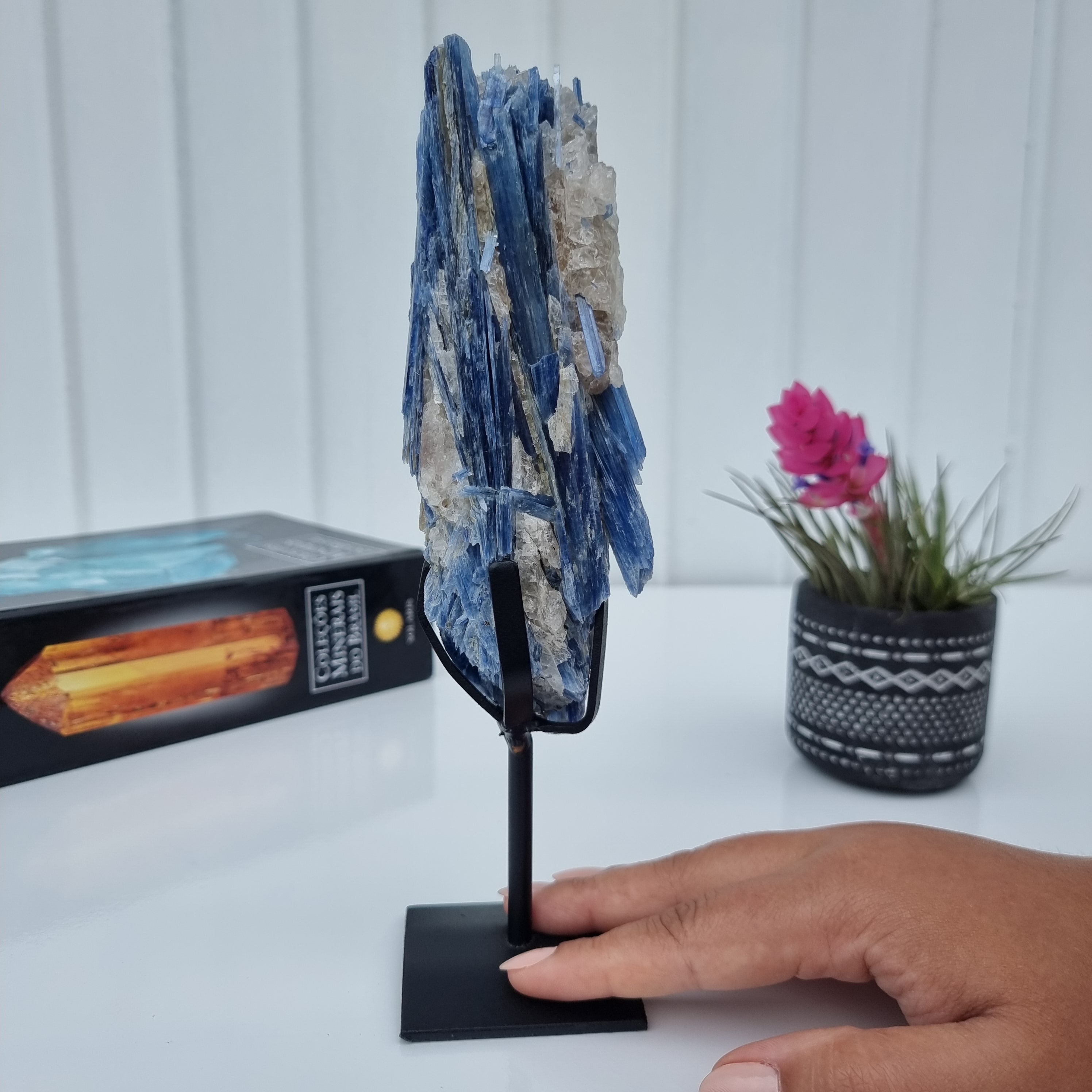 Cianita Natural Especial | Peso 0,70 Kgs, Altura 24 cm | Energia, Beleza e Sofisticação